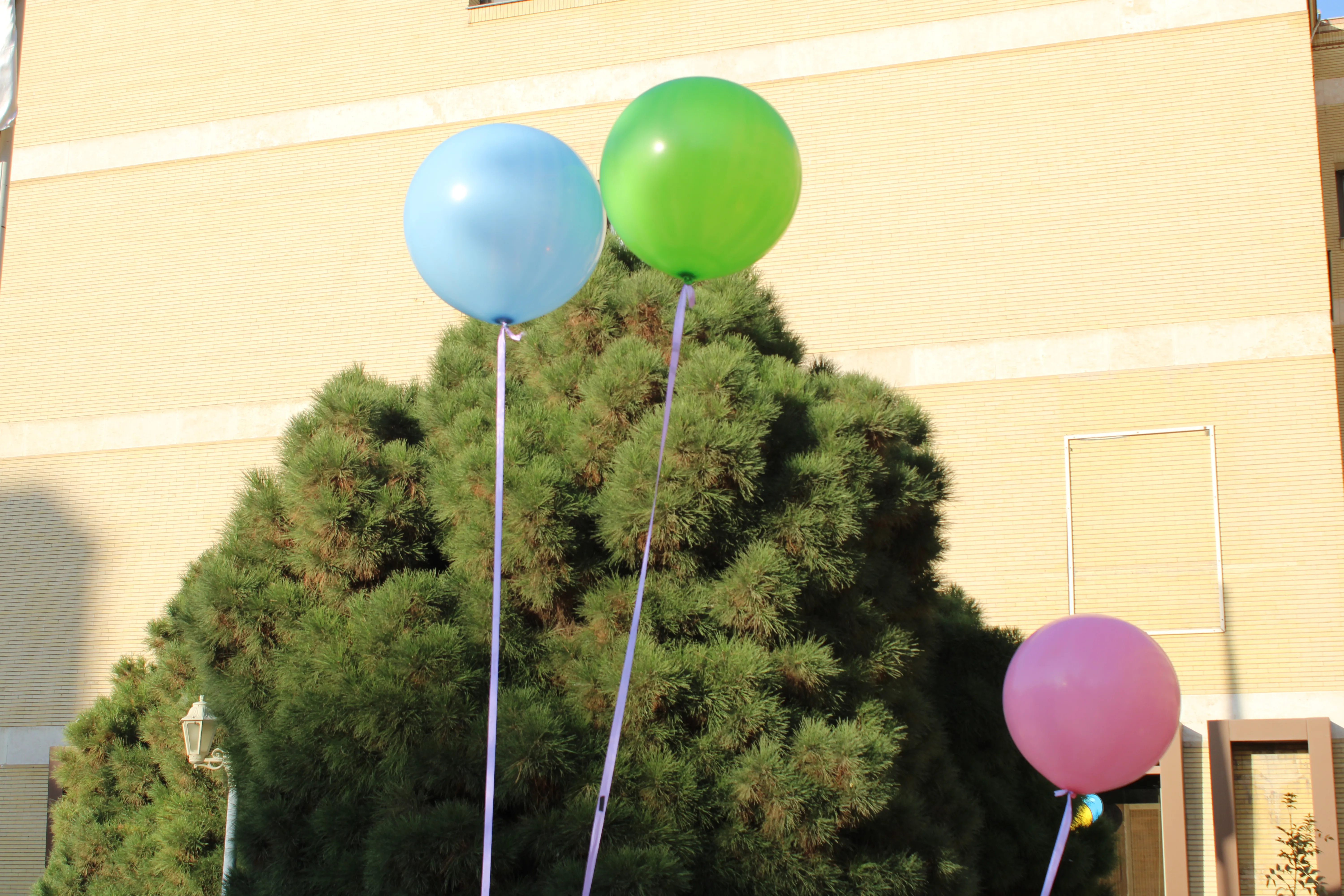 SPACE #7 - Image 708