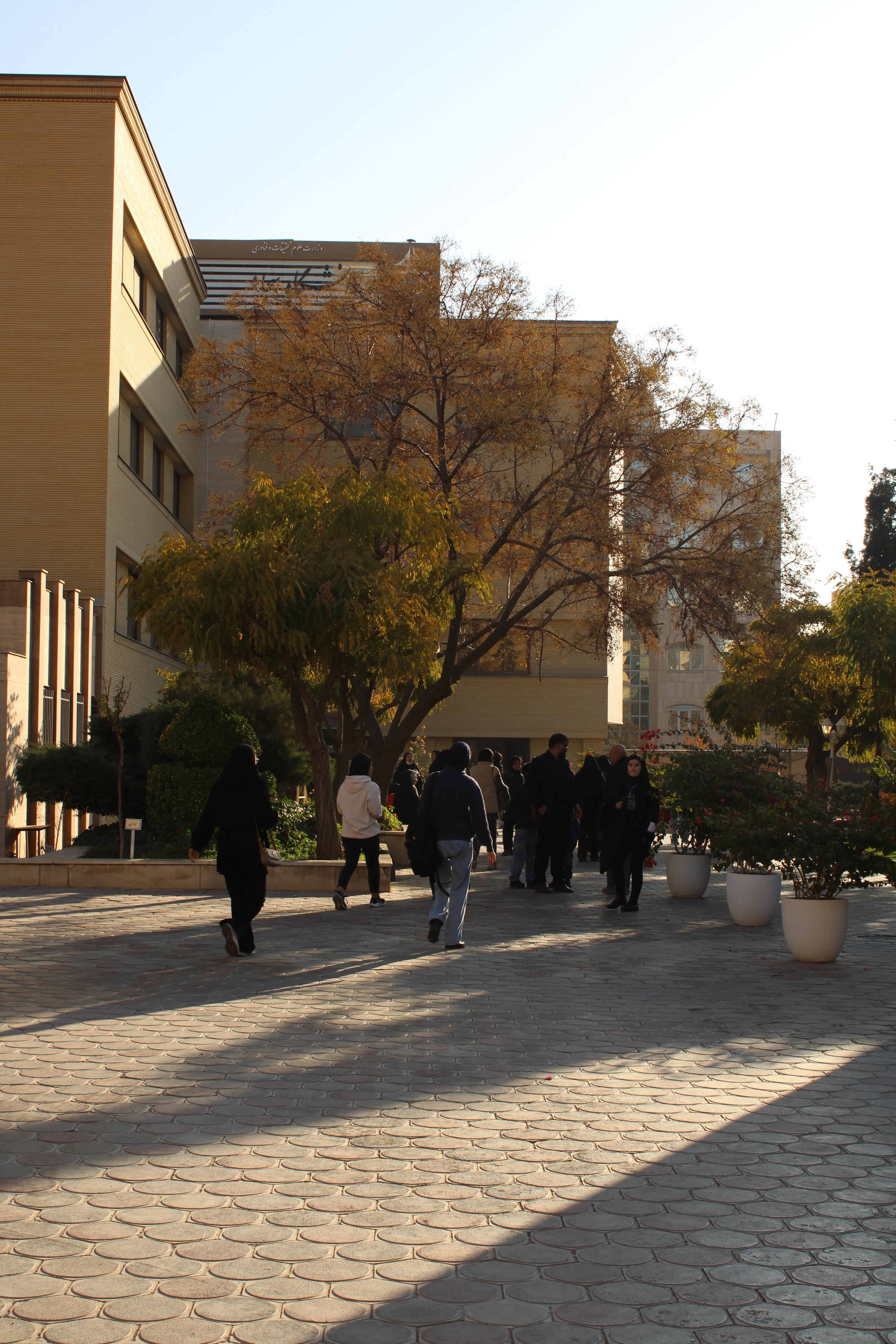 SPACE #7 - Image 718